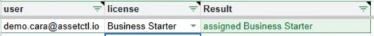 A Licenses sheet row: demo.cara@assetctl.io, Business Starter, result assigned Business Starter.